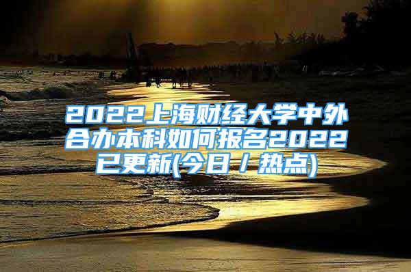 2022上海财经大学中外合办本科如何报名2022已更新(今日／热点)