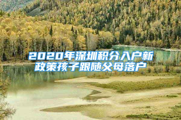 2020年深圳积分入户新政策孩子跟随父母落户