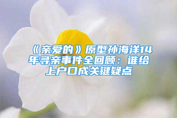 《亲爱的》原型孙海洋14年寻亲事件全回顾：谁给上户口成关键疑点