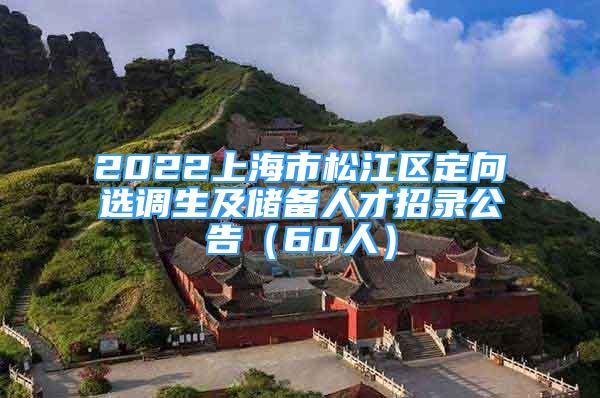 2022上海市松江区定向选调生及储备人才招录公告（60人）