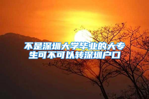 不是深圳大学毕业的大专生可不可以转深圳户口