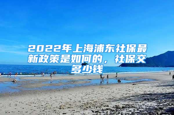 2022年上海浦东社保最新政策是如何的，社保交多少钱