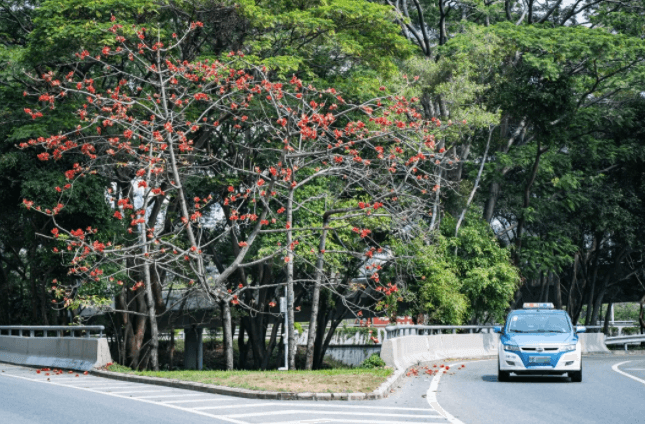 深圳龙华区港澳台居民居住证补办地点 深圳龙华区港澳台居民居住证补办地点