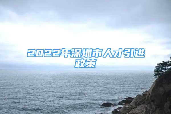 2022年深圳市人才引进政策