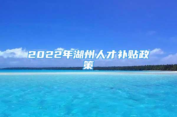 2022年湖州人才补贴政策