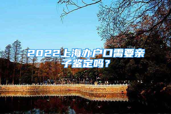 2022上海办户口需要亲子鉴定吗？