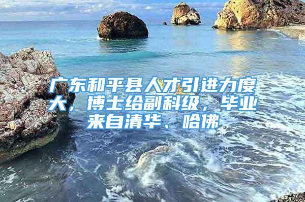 广东和平县人才引进力度大，博士给副科级，毕业来自清华、哈佛