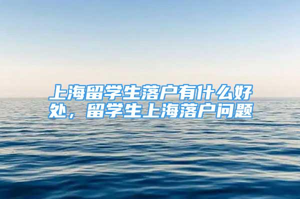 上海留学生落户有什么好处，留学生上海落户问题