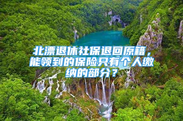 北漂退休社保退回原籍，能领到的保险只有个人缴纳的部分？