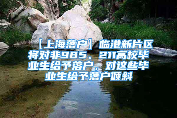 【上海落户】临港新片区将对非985、211高校毕业生给予落户，对这些毕业生给予落户倾斜