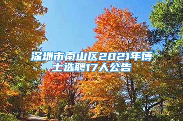 深圳市南山区2021年博士选聘17人公告