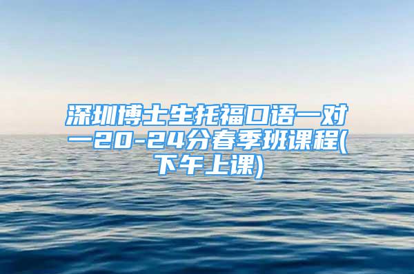 深圳博士生托福口语一对一20-24分春季班课程(下午上课)