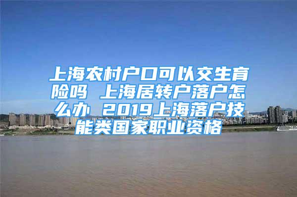 上海农村户口可以交生育险吗 上海居转户落户怎么办 2019上海落户技能类国家职业资格