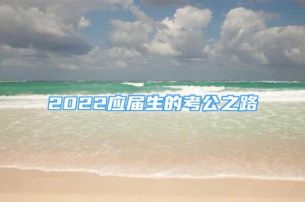 2022应届生的考公之路