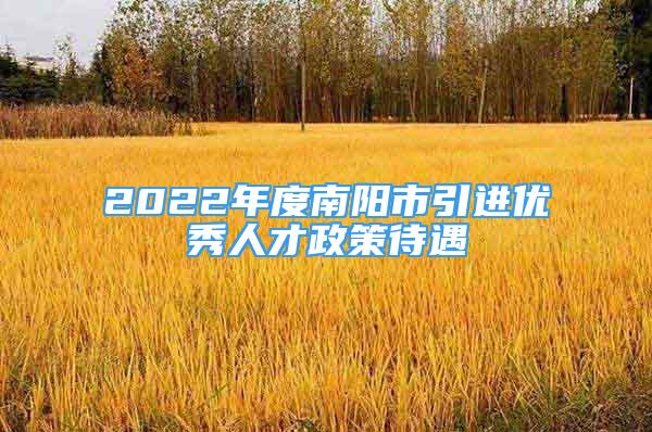 2022年度南阳市引进优秀人才政策待遇