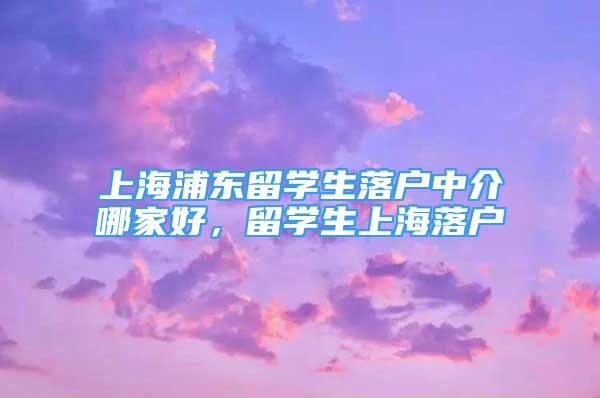 上海浦东留学生落户中介哪家好，留学生上海落户