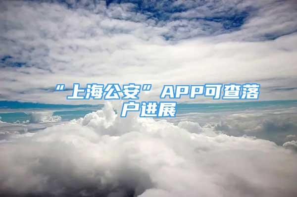 “上海公安”APP可查落户进展