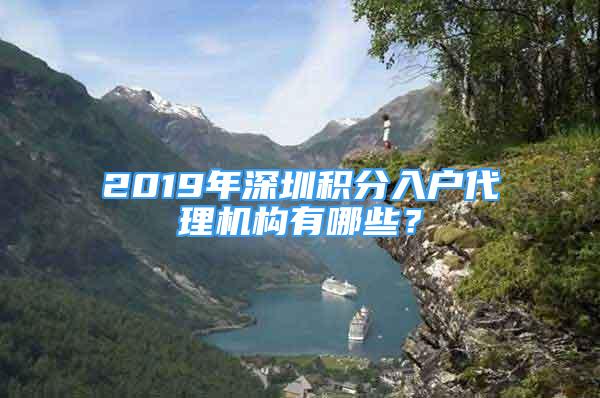 2019年深圳积分入户代理机构有哪些？