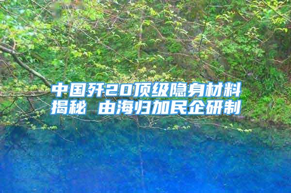 中国歼20顶级隐身材料揭秘 由海归加民企研制