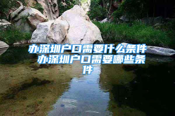 办深圳户口需要什么条件 办深圳户口需要哪些条件