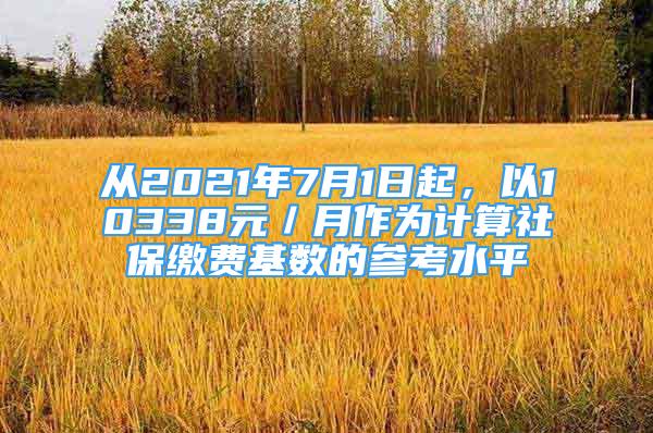 从2021年7月1日起，以10338元／月作为计算社保缴费基数的参考水平