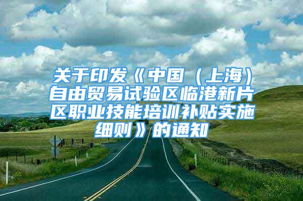 关于印发《中国（上海）自由贸易试验区临港新片区职业技能培训补贴实施细则》的通知