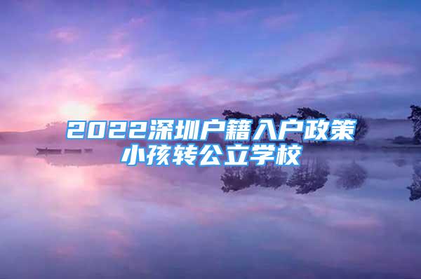 2022深圳户籍入户政策小孩转公立学校