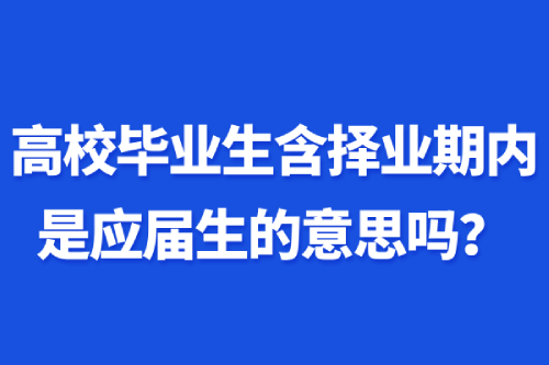 高校毕业生含择业期内是应届生的意思吗？