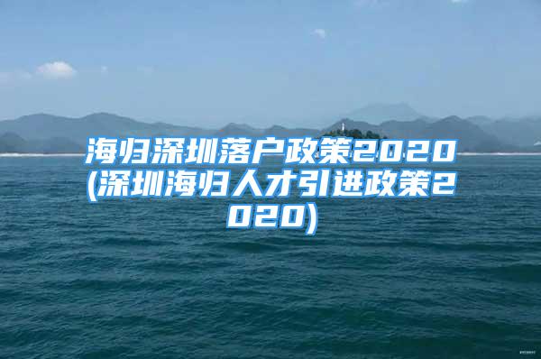 海归深圳落户政策2020(深圳海归人才引进政策2020)