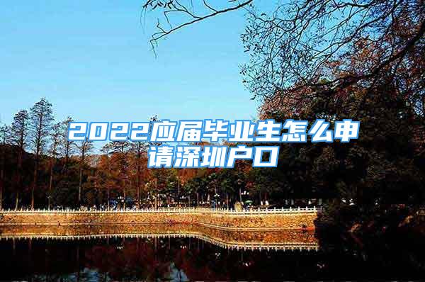 2022应届毕业生怎么申请深圳户口