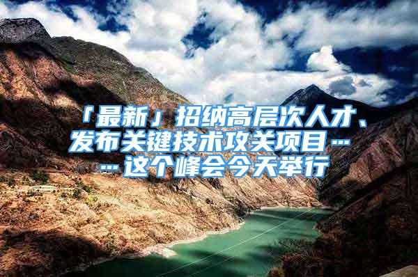 「最新」招纳高层次人才、发布关键技术攻关项目……这个峰会今天举行