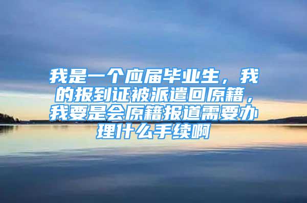 我是一个应届毕业生，我的报到证被派遣回原籍，我要是会原籍报道需要办理什么手续啊