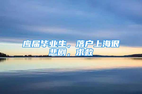 应届毕业生，落户上海很悲剧，求救