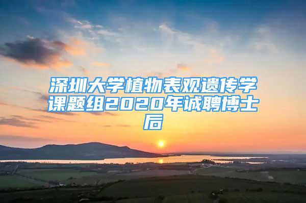 深圳大学植物表观遗传学课题组2020年诚聘博士后