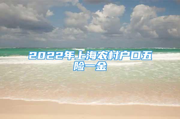 2022年上海农村户口五险一金