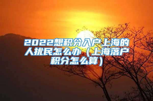 2022想积分入户上海的人扰民怎么办（上海落户积分怎么算）