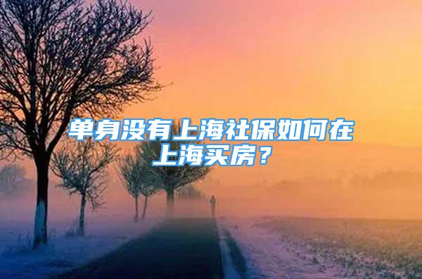 单身没有上海社保如何在上海买房？