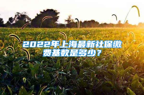 2022年上海最新社保缴费基数是多少？