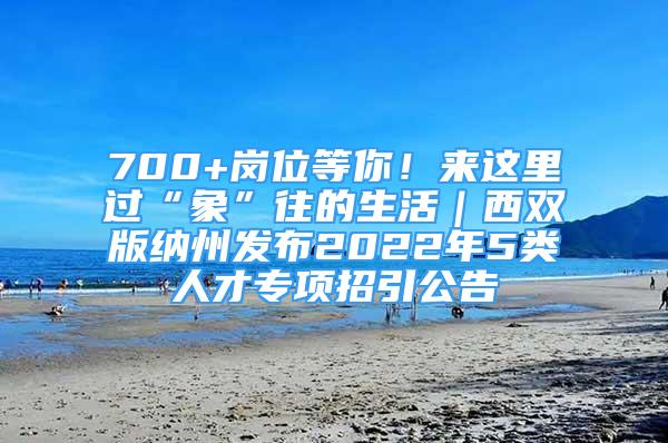 700+岗位等你！来这里过“象”往的生活｜西双版纳州发布2022年5类人才专项招引公告