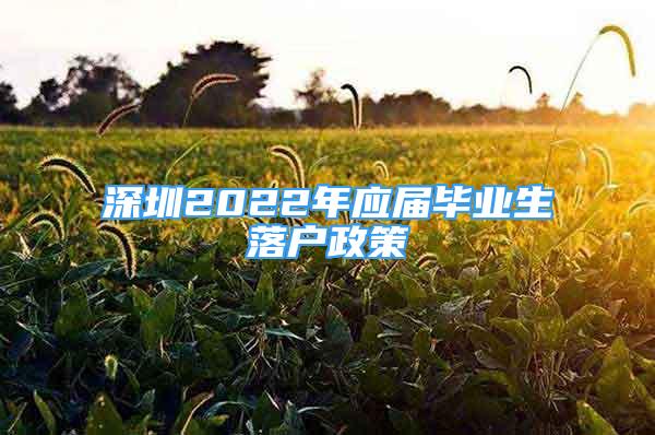 深圳2022年应届毕业生落户政策