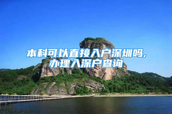 本科可以直接入户深圳吗,办理入深户查询