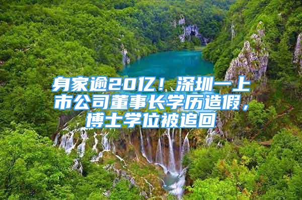 身家逾20亿！深圳一上市公司董事长学历造假，博士学位被追回