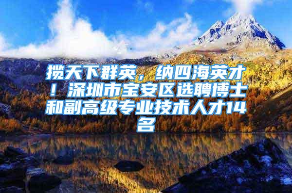 揽天下群英，纳四海英才！深圳市宝安区选聘博士和副高级专业技术人才14名