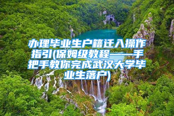 办理毕业生户籍迁入操作指引(保姆级教程——手把手教你完成武汉大学毕业生落户)