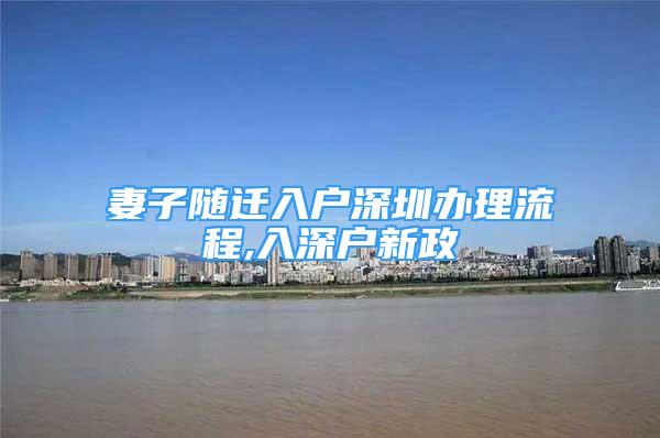 妻子随迁入户深圳办理流程,入深户新政