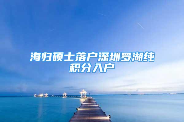 海归硕士落户深圳罗湖纯积分入户