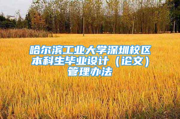 哈尔滨工业大学深圳校区本科生毕业设计（论文）管理办法