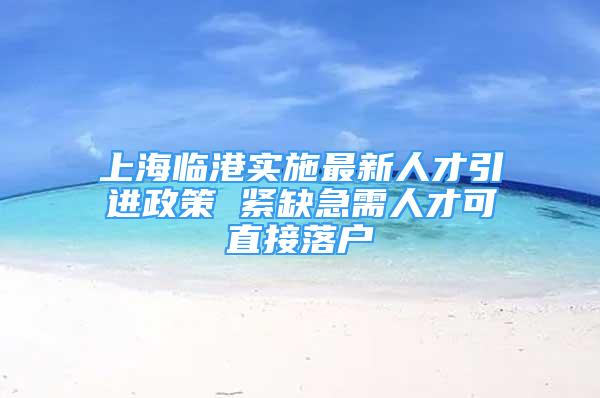 上海临港实施最新人才引进政策 紧缺急需人才可直接落户