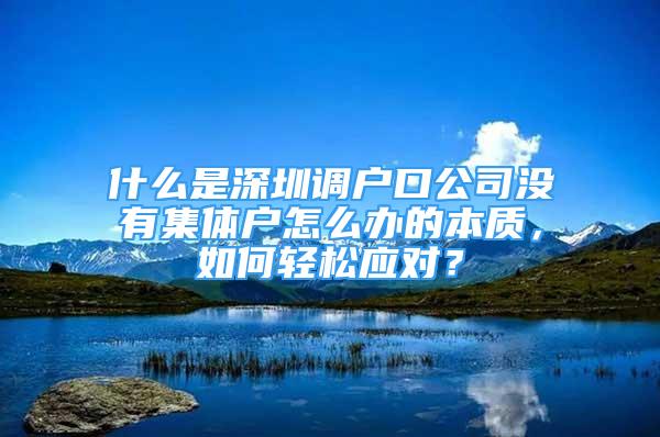 什么是深圳调户口公司没有集体户怎么办的本质，如何轻松应对？