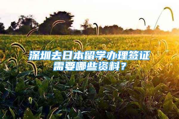 深圳去日本留学办理签证需要哪些资料？